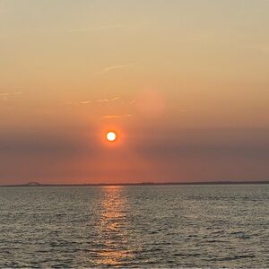 Meet your Posher, Ingrid